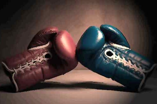 guanti da box