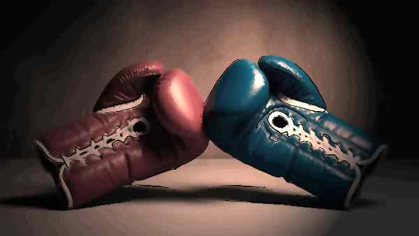 guanti da box