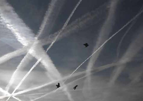 SCIE CHIMICHE