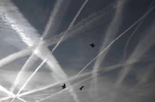 SCIE CHIMICHE