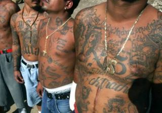 gang "Latin King"
