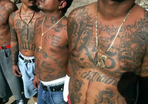 gang "Latin King"