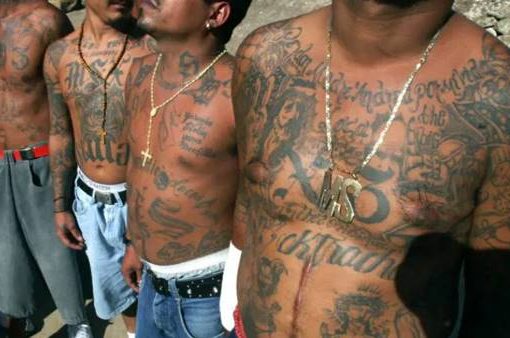 gang "Latin King"