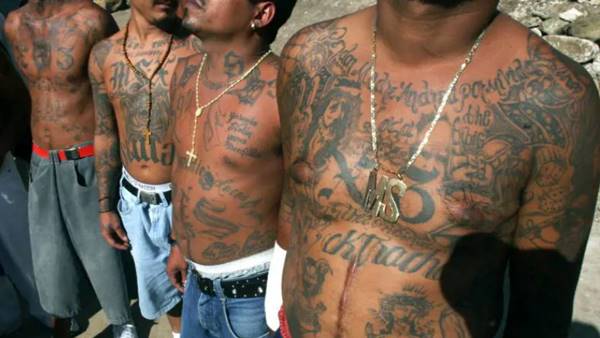 gang "Latin King"
