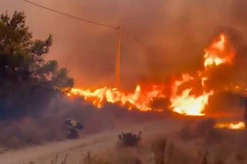 Incendio nei boschi dell'Andalusia