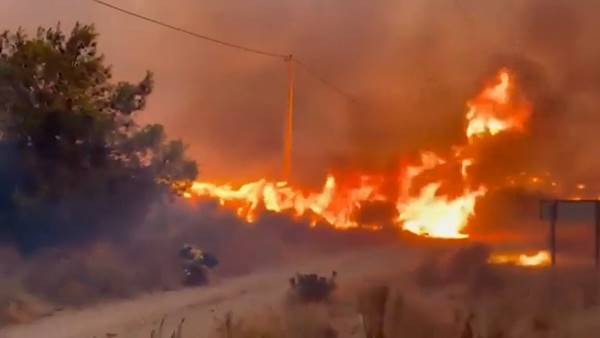 Incendio nei boschi dell'Andalusia