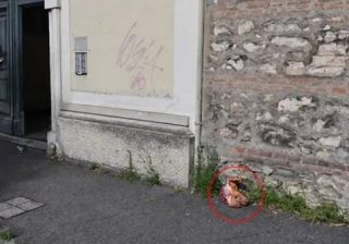 Brescia, testa di maiale presso il portone della futura moschea